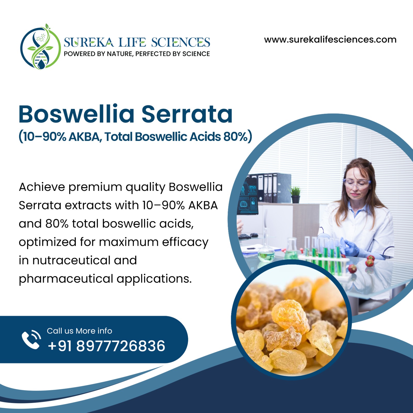 Research and Innovation